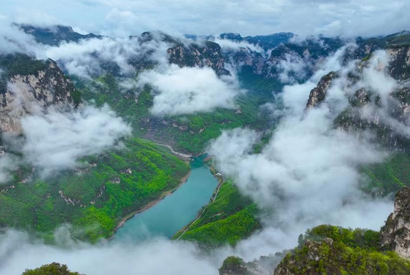 中牟旅行社口碑排行出炉：哪家旅行社服务好性价比高？