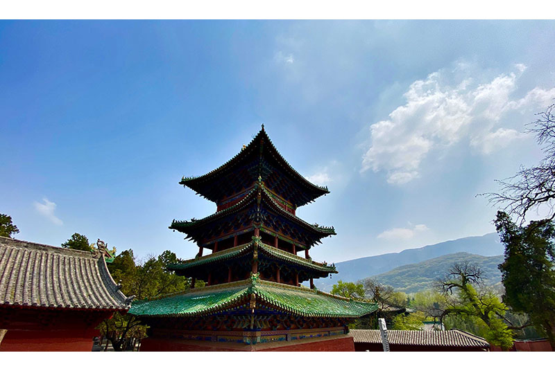 郑州地接服务哪家强？河南中牟同程旅行社带你玩转中原文化